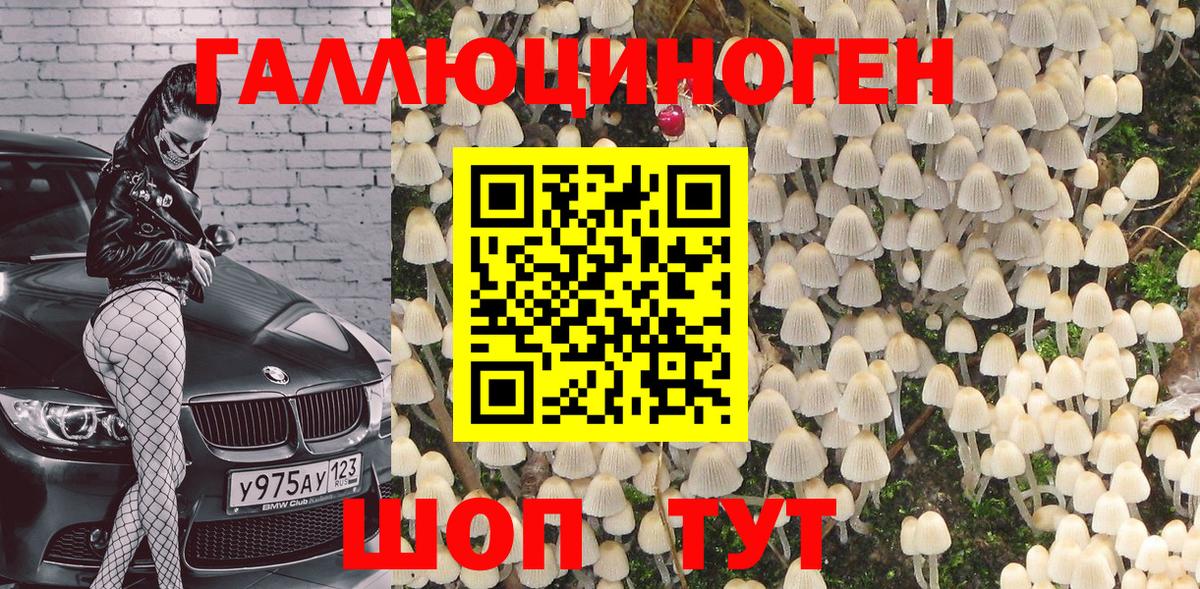 Кохма  Псилоцибиновые грибы мухоморы  Вход с VPN  Псилоцибиновые грибы Psilocybe 