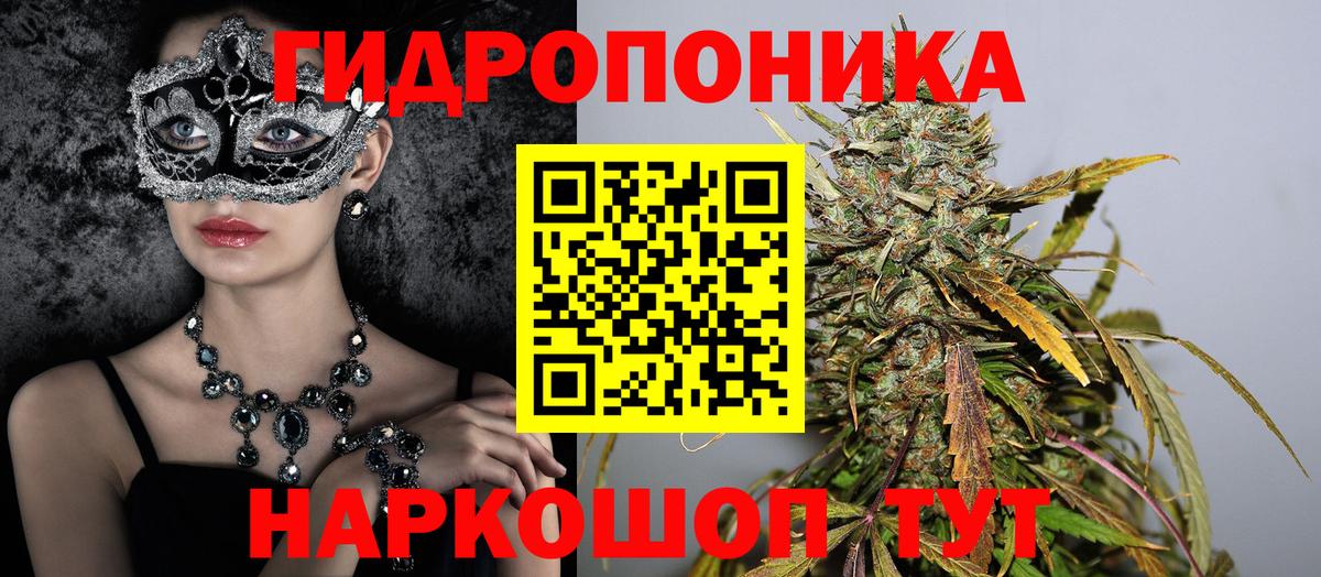 Канабис сатива  Вход с VPN  Кохма  Конопля LSD WEED  Канабис конопля  Канабис Ganja 
